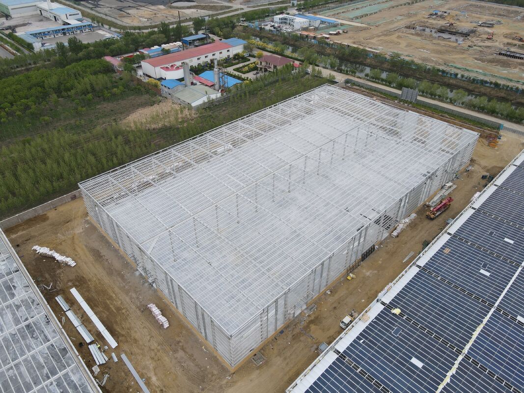 Durable Steel Frame Structure for Workshop and Factory Buildings