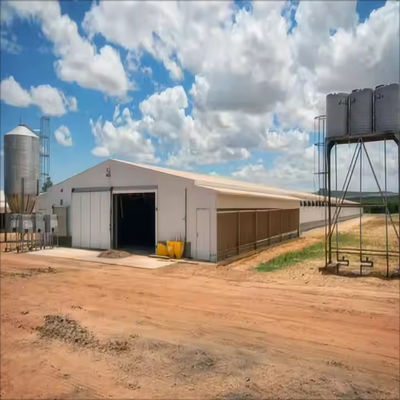 Modern Design Waterproof Thermal Insulation Chicken House Laying Chicken House Steel Structure Poultry House