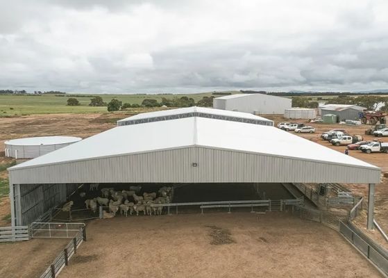 Open Wall Designed Clear Span High Rise Prefabricated Steel Hall Warehouse Shed