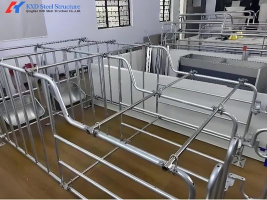 Galvanized Pig Farrowing Crates Piggery Equipment Sow Farrowing Bed