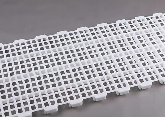 Corrosion Resistant Plastic Poultry Slats Easy Pull Chicken House Floor Slats