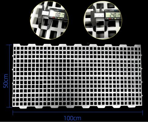 Poultry Farm Plastic Slatted Floor Broiler House 2kg 16*16mm / 20*26mm Hole