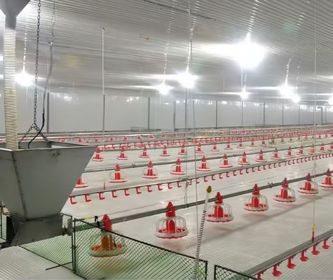 Easy Cleaning Slatted Floor Broiler House Plastic Slate Floor For Poultry Farm