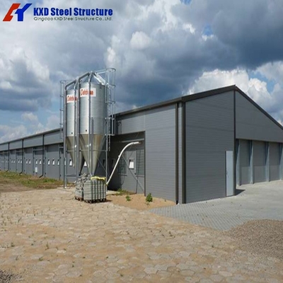 Poultry Farm Chicken Shed Livestock Building House For 10000 Chickens Light Design With Welding Cutting & Bending Services