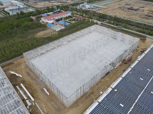 Durable Steel Frame Structure for Workshop and Factory Buildings