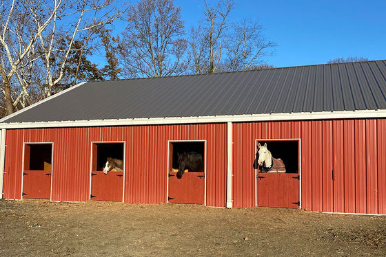 Prefabricated Steel Structure Steel Horse Stable Building