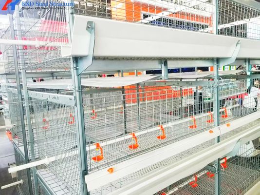 Automatic Battery Egg Layer Cages , Chicken Laying Hens Cage Poultry ...