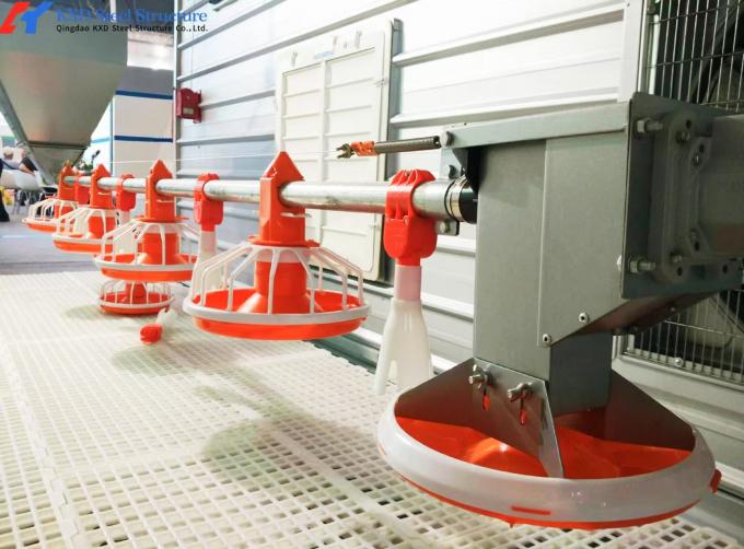 Poultry Farm Chicken Feeding Line Automatic Poultry Pan Feeding System